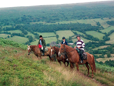 Wales-Wales-Black Mountains Trail